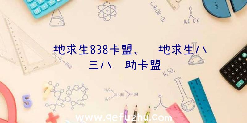 绝地求生838卡盟、绝地求生八三八辅助卡盟