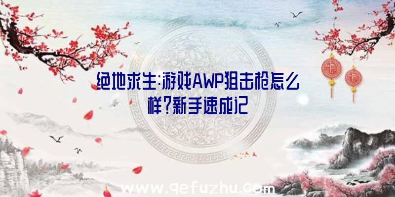 绝地求生:游戏AWP狙击枪怎么样？新手速成记