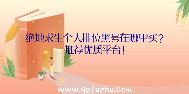 绝地求生个人排位黑号在哪里买？推荐优质平台！