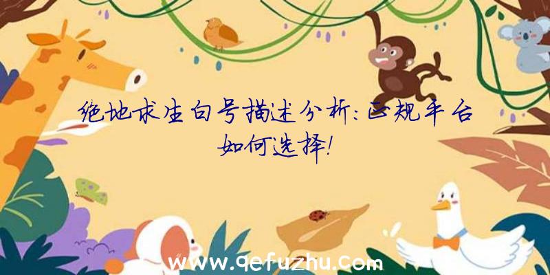 绝地求生白号描述分析：正规平台如何选择！