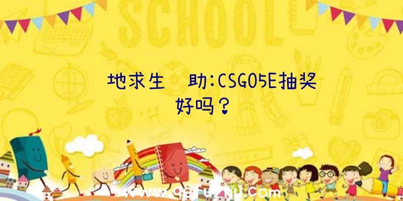 绝地求生辅助:CSGO5E抽奖好吗？