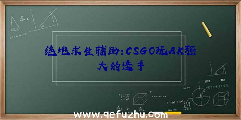 绝地求生辅助:CSGO玩AK强大的选手