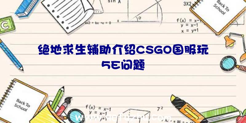 绝地求生辅助介绍CSGO国服玩5E问题