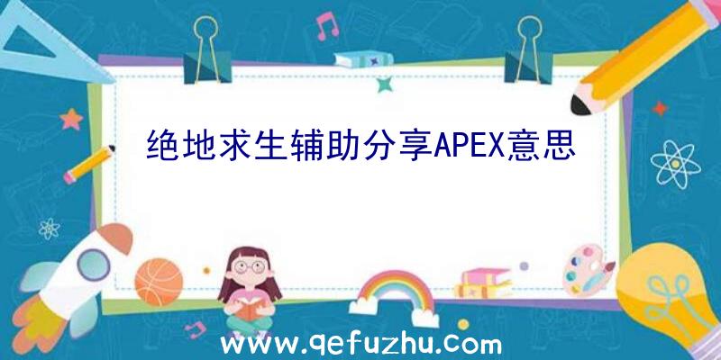 绝地求生辅助分享APEX意思