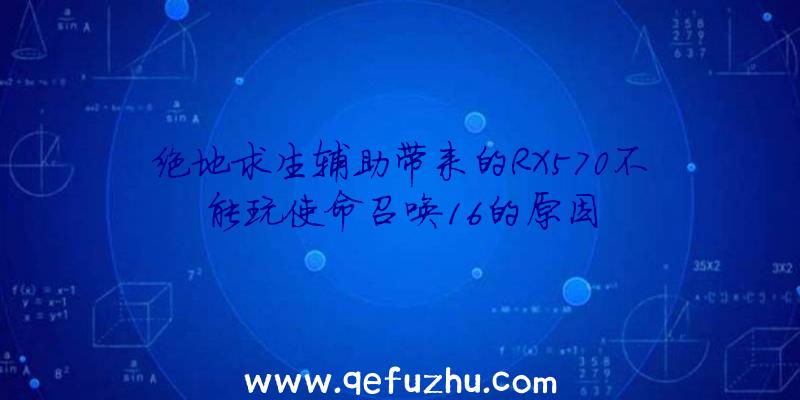 绝地求生辅助带来的RX570不能玩使命召唤16的原因