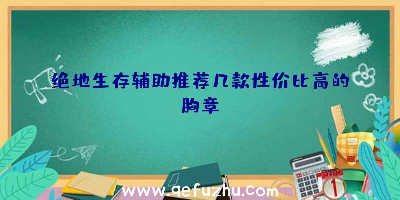 绝地生存辅助推荐几款性价比高的胸章